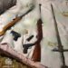 У Кривому Розі затримали чоловіка, який вчинив стрілянину на вулиці