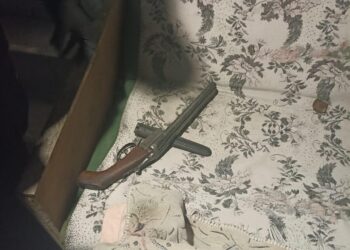 Хотів вразити знайому: у Павлограді затримали чоловіка, який стріляв на власному дворі