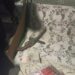 Хотів вразити знайому: у Павлограді затримали чоловіка, який стріляв на власному дворі
