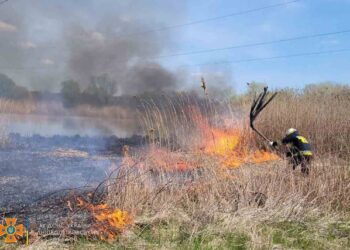 У Дніпрі рятувальники ліквідували масштабне загоряння сухостою (ФОТО)
