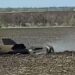 Над Дніпропетровщиною збили ворожу ракету