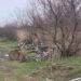 У Зеленодольській ОТГ продовжують рятувати транспорті засоби людей, які бігли із окупованих сіл Херсонщини