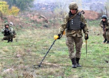 У Синельниковскому районі знешкодили майже 40 касетних боєприпасів