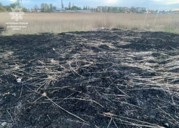 У Дніпрі затримали підпалювача сухостою