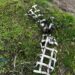 На Дніпропетровщині чоловік перевозив на мопеді ворожий боєприпаси та загинув: розпочато розслідування (ФОТО)