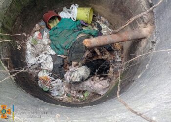 В Покрові рятувальники дістали з глибокого колодязю безпритульного песика (ФОТО)