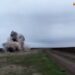 Піротехніки знищили на Дніпропетровщині уламки ворожої крилатої ракети (ВІДЕО)