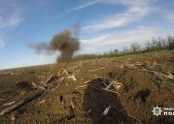 На Дніпропетровщині сапери розміновують території від російських боєприпасів (ВІДЕО)