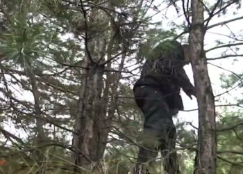 Увага! Заборона відвідувати ліс! Pішення військової адміністрації