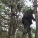 Увага! Заборона відвідувати ліс! Pішення військової адміністрації