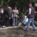 200 саджанців троянд висадили у Петриківці , красу навели жителі Покровська Донецької області
