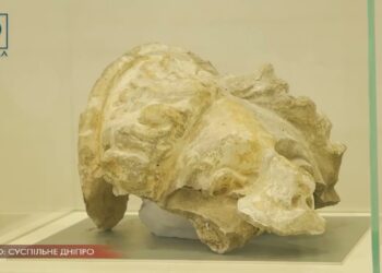 До Міжнародного дня музеїв у Дніпрі покажуть імерсійну виставу та проведуть благодійну акцію