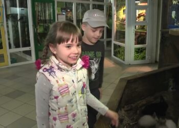 ” Зворушливий зоопарк ” Дніпра чекає на відвідувачів