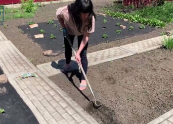 Городні війська України : вдаримо врожаєм по окупанту!