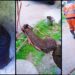 У Кривому Розі у колекторі знайшли «бороду» (ФОТО)