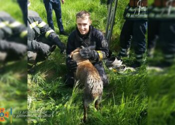 У Дніпрі співробітники ДСНС врятували двох собак (ФОТО)