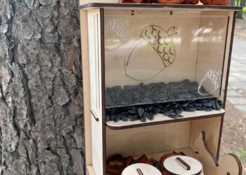В Зеленодольській ОТГ з’явилися годівниці для білок (ФОТО)