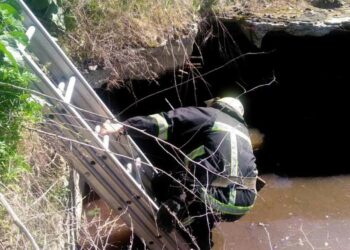 У Нікополі рятувальники витягли із занедбаного шестиметрового колодязя собаку