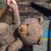 Окупанти депортували до рф понад 210 000 українських дітей