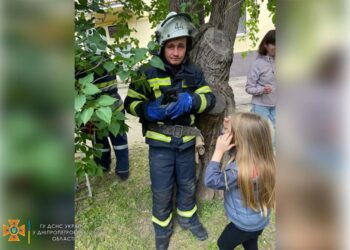 У Покрові надзвичайники врятували кошеня