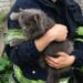 У Слобожанському на Дніпропетровщині вогнеборці врятували кота(ФОТО)