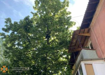 У Дніпрі рятувальники дістали з дерева котика та повернули власниці (ФОТО)