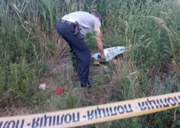 Відпочинок із трагічним фіналом: у водоймі Кривого Рогу потонула жінка