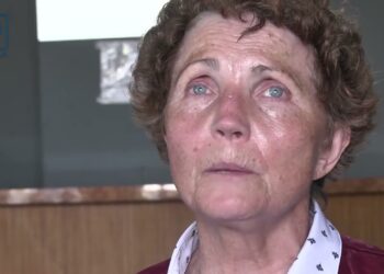 Шелтеру при автошколі Коваленка потрібна допомога