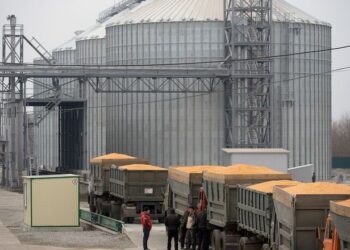 Уряди  країн ЄС розглянуть можливість надання Україні тимчасових сховищ для зернових