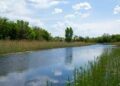 Небезпечна інфекція: мешканцям Дніпропетровщини заборонили купатися у річці Кільчень