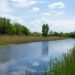 Небезпечна інфекція: мешканцям Дніпропетровщини заборонили купатися у річці Кільчень