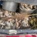 Майже 400 рибин: у Кривому Розі затримали браконьєра (ФОТО)