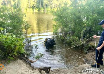 У Кам’янському на водоймі загинув підліток (ФОТО)