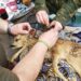 Бійці з Дніпропетровщини врятували на Херсонщині поранене дитинча козулі (ФОТО)