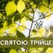 Голова Дніпропетровської обласної ради Микола Лукашук привітав мешканців області з Днем Святої Трійці