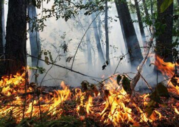 Сьогодні на Дніпропетровщині оголошено надзвичайну пожежну небезпеку