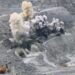 У Кривому Розі знову буде чутно вибухи