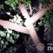 На Дніпропетровщині поліціянти затримали крадія протитанкових їжаків