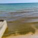 Азовське море перетворилося на болото