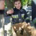 У центрі Дніпра рятували життя каченятам, які впали у каналізацію