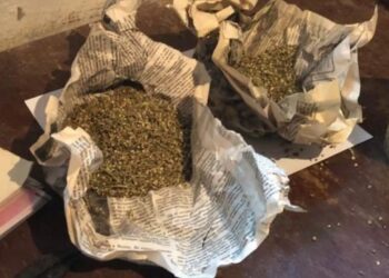 У раніше судимої кам’янчанки виявили канабіс 
