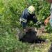 На Дніпропетровщині рятувальники дістали з ями корову