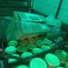 Поліцейські Дніпропетровщини під ворожими обстрілами доставили продукти та необхідні речі людям на лінію фронту
