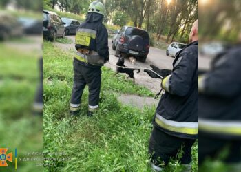 Рятувальники Дніпра визволили собаку, який провалився у глибокий люк
