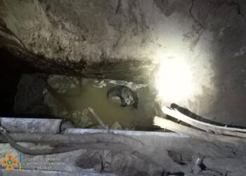 У Дніпрі рятувальники визволили песика з глибокої ями (ФОТО)