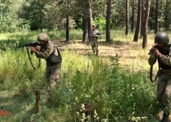 TPо тепер може скеровувати свої дії на Фронт і там виконувати бойові завдання