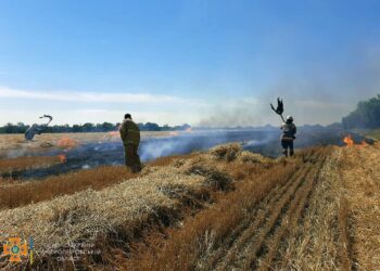 Рятувальники майже годину боролися із пожежею у полі (ФОТО)