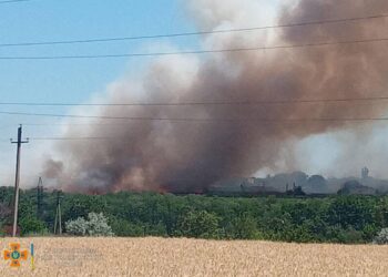 На Дніпропетровщині вогонь знищив понад 2800 гектарів землі