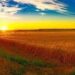 Окупати обстріляли два райони Дніпропетровщини
