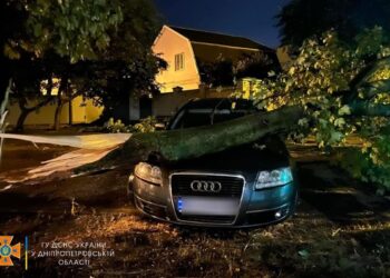 Протягом ночі надзвичайники Дніпра «звільняли» місто від повалених дерев (ФОТО)